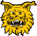 Tampere Ilves